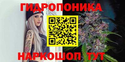 дживик Шебекино